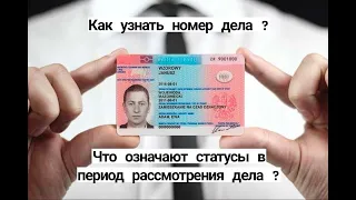 Как узнать номер дела ? Что означают статусы в период рассмотрения дела ?