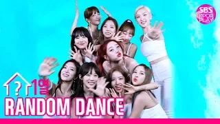 [랜덤1열댄스] RANDOM 1LINE DANCE 우주소녀(WJSN)✨우주소녀 춤과 함께 시원한 여름 나기✨