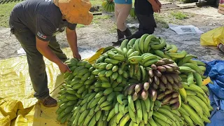 Llegamos a La Sierra Norte de Puebla !