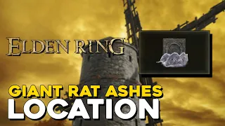 Elden Ring Giant Rat Ashes Summon Location