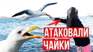 Запрыгнула в ЕДУЩИЙ трамвай! 5 образов на 5 локаций! Lookbook 🐞 Afinka