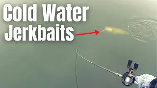 This JERKBAIT Will Double Your Catch In COLD WATER