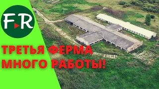 Восстановление фермы своими силами. Огромный объём работ. Здесь будет беспривязное содержание.