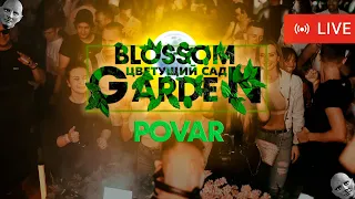 📹 POVAR  - "Blossom Garden" Fantomas Rooftop | Live 22.07.2022