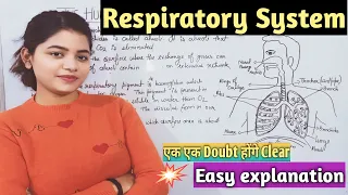 Respiratory System | Human Respiratory System | Full & Easy Explanation | Life process | Class 10th