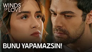 Will Zeynep accept Halil's offer? | Winds of Love Episode 52 (MULTI SUB)