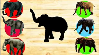 Cute  animal puzzle video//Cute Animal puzzle//Indian elephant puzzle video#puzzledunia