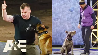 Police K9 vs. RECORD-SETTING Underdog for the $20K WINNING PRIZE | America's Top Dog | A&E