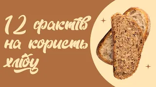 Подкасти українською: 12 фактів на користь хлібу