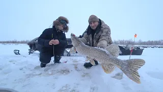 Оставил жерлицы на ночь и попало два мешка огромных щук. Рыбалка на Крайнем Севере.