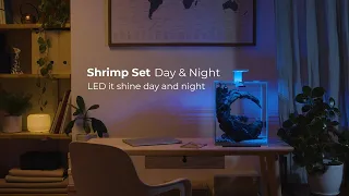 Aquael Shrimp Set Day & Night - LED it shine day & night (DE)