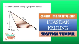 Cara Menentukan Luas Dan Keliling Segitiga Tumpul #pythagoras #matematikakelas8