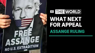 Julian Assange wins temporary reprieve from extradition to US | The World