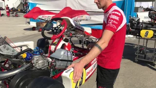 Warm up engine CIK-FIA OK OKJ World Champs, Bahrain 2016