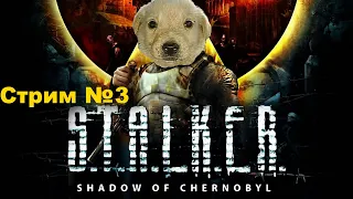 Прохождение Stalker Shadow of Chernobyl. Сталкер Тень Чернобыля - Стрим 3. Осторожно, мат!