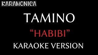 Habibi by Tamino (Karaoke version)