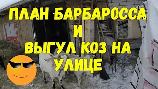 План Барбаросса и выгул коз на улице