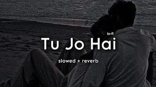 Tu Jo Hain | Slowed and Reverb |Mr. X|Emraan Hashmi, Amyra Dastur|Ankit Tiwari|Monish Raza