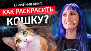 Как раскрасить кошку. Лекция Анны Ивановой