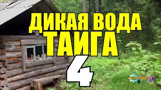 ПРОМЫСЕЛ В ТАЙГЕ | ОХОТА НА ЛЕБЕДЕЙ | СЪЕДОБЕН ЛИ ЛЕБЕДЬ | ПОДРАНОК - ОХОТА НА ГУСЯ 4