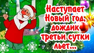 Наступает Новый год... У кого такая же погода? С наступающим! Счастья, позитива и здоровья!