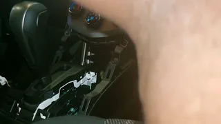 Chevy sonic gear shifter  / buttons  replacement