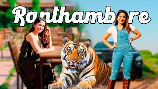 $120 Worth?? to spot TIGER at Ranthambore?  ₹10K Tiger Safari & Luxury Jungle Stay - Delhi Getaways