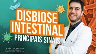 Disbiose Intestinal Principais Sinais