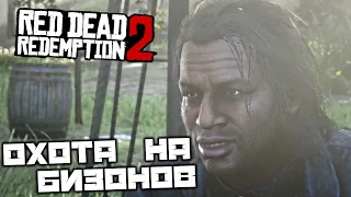 Red Dead Redemption 2 - Охота на Бизонов. Вечеринка в честь Шона. Проповедник. Тушка Кролика