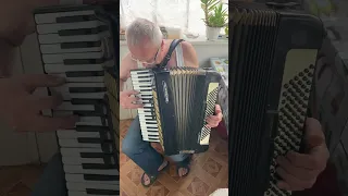 Weltmeister accordion, 4/4 accordion, 120 Bass, 41 keys, 3 voices, 5 registers, Full Size,New Straps