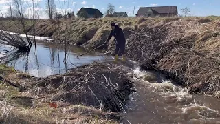 BEAVER DAM REMOVAL. A LOT OF WATER. NICE WARM SPRING DAY.