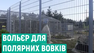 У Подільському зоопарку полярних вовків переселили до нового вольєру