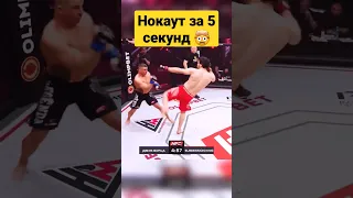 Залимхан Юсупов Делает Невозможное? 5 Секунд Нокаута! #HFCMMA #SHORT Хардкормма