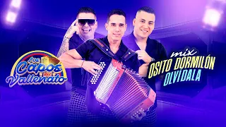 Mix Osito Dormilón y Olvídala - Los Capos de Colombia (En Vivo)