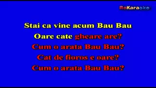 MIRUNA OPREA-Nu mi-e frica de bau bau KARAOKE