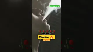 JAMMA 🔥 GULIM U CHIROYLIGIM 🥀 | UZRAPDA NIMALAR BO'LYAPDI KIM BILADI ! 🤯