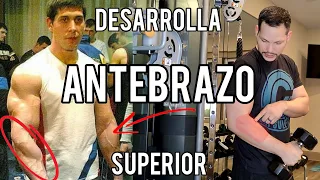 Desarrolla tu antebrazo | Antebrazo superior | Lucha de Brazos | Armwrestling