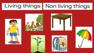 Living things and non living things@educationalvideosforlearning