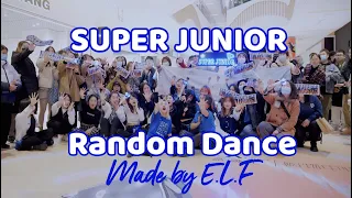 SUPER JUNIOR RANDOM DANCE CHALLENGE [KPOP IN PUBLIC] 랜덤 댄스 - 슈퍼주니어 특집