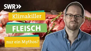 Wie Fleischkonsum nachhaltig geht I Ökochecker SWR