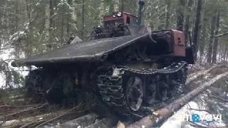ТДТ-55 разулся в лесу