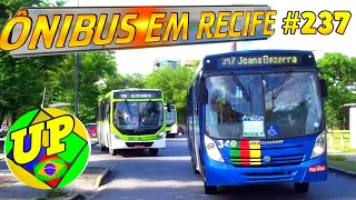 #237 - Ônibus em Recife  - JOANA  BEZERRA  - Movimentação de ônibus na cidade do Recife