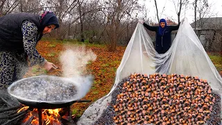 Harvesting Wild Persimmon Fruit in Caucasian Village – Unusual Persimmon Molasses Recipe