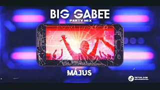 LEGÚJABB PARTY ZENÉK (Guest Mix 2024) MÁJUS (Mixed By BIG GABEE)