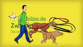 Zwillingsleine Baldolino - DIE Leine für zwei Hunde