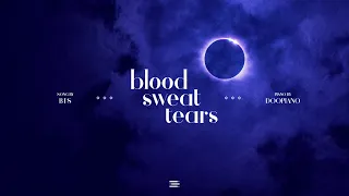 BTS - Blood Sweat & Tears Piano Cover