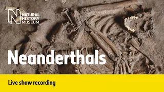 Neanderthals | Live talk with NHM scientist