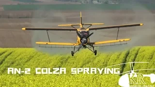 PZL-Mielec An-2 colza spraying near Nagykónyi