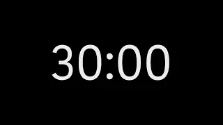 30 Minutes Countdown Timer 4K (no sound) - Black