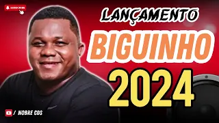 BIGUINHO SENSAÇÃO ARROCHA 2024  PAREDÃO SUCESSOS MAIO